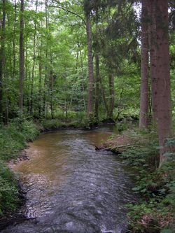 rencontre a oberbronn