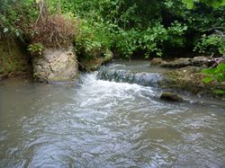 La Laize Et La Guigne Riviere Clinchamps Sur Orne 14 Atout Pecheur